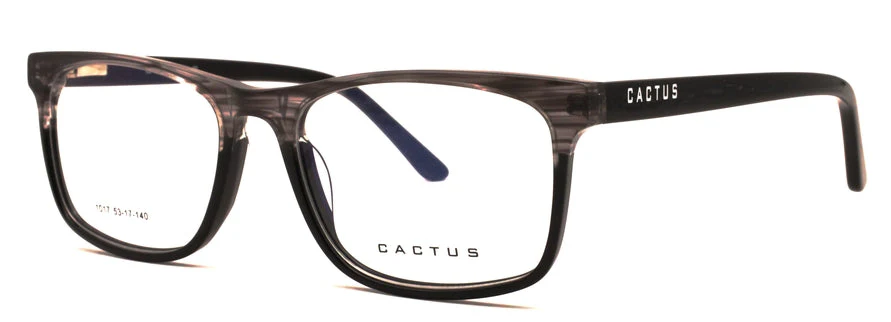 Cactus 1017 - Image 11