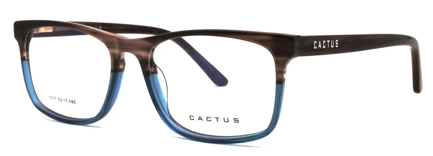 Cactus 1017 - Image 15