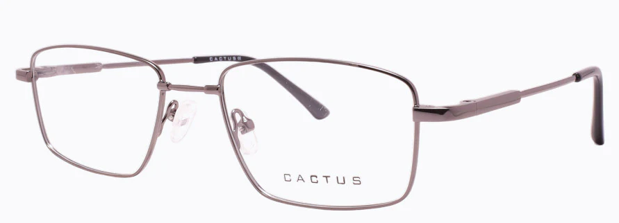 Cactus 1301 - Image 2
