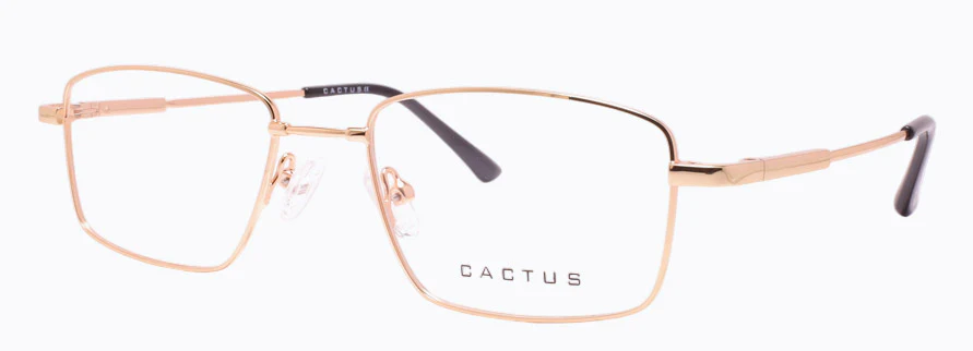 Cactus 1301 - Image 5