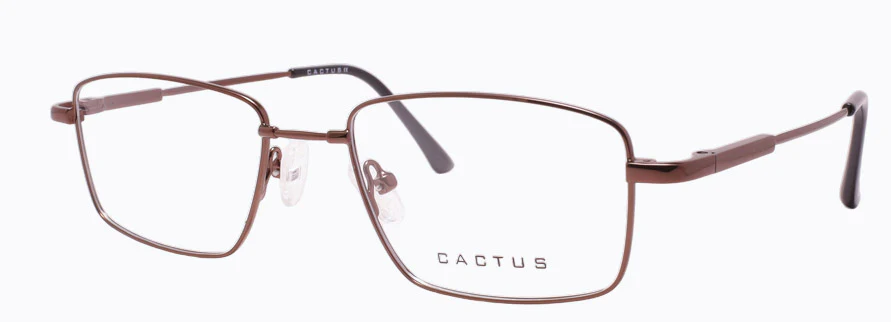 Cactus 1301 - Image 8