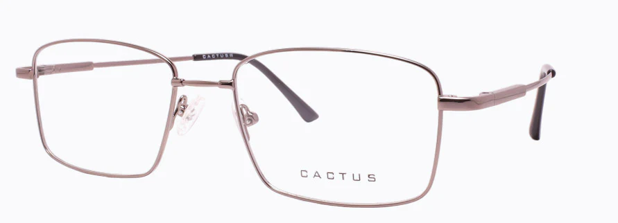 Cactus 1302 - Image 2