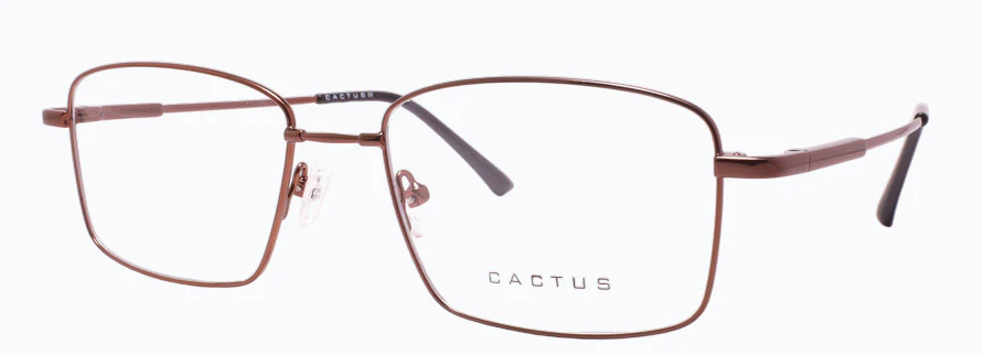 Cactus 1302 - Image 5