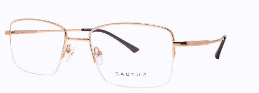 Cactus 1303 - Image 5