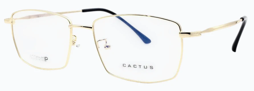 Cactus 18132 - Image 5