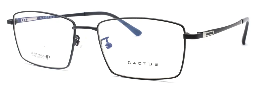 Cactus 18164 - Image 2