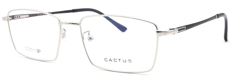 Cactus 18164 - Image 5