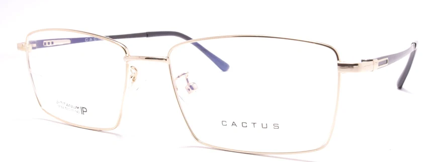 Cactus 18164 - Image 8