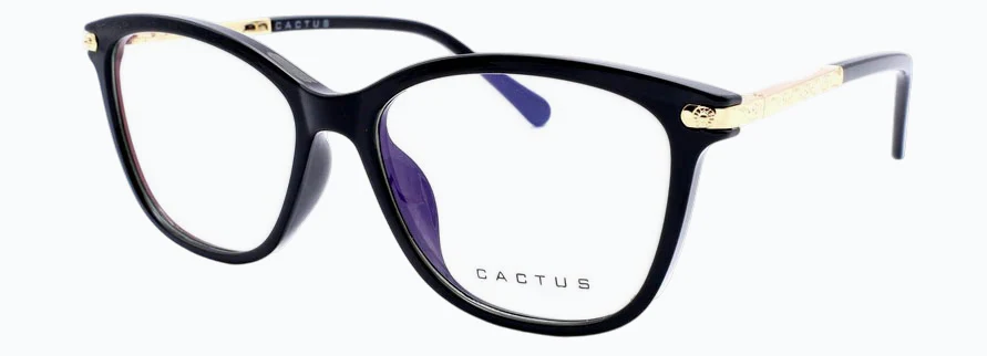 Cactus 20203 - Image 2