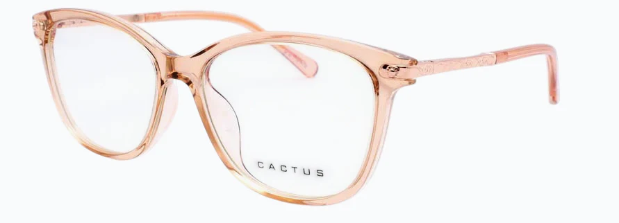 Cactus 20203 - Image 5