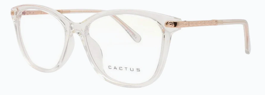 Cactus 20203 - Image 8