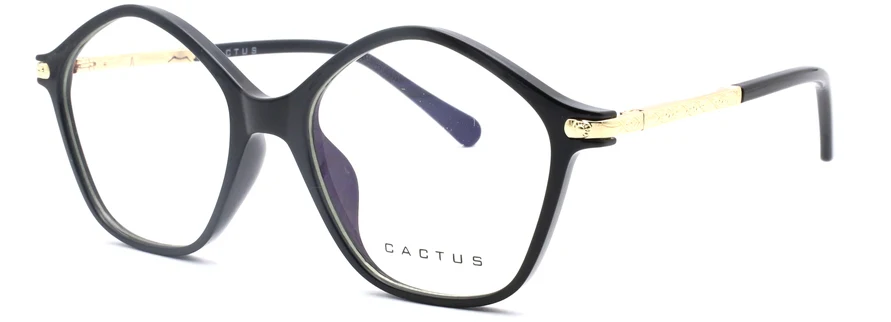 Cactus 20204 - Image 2