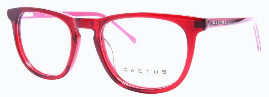 Cactus 28050 - Image 6