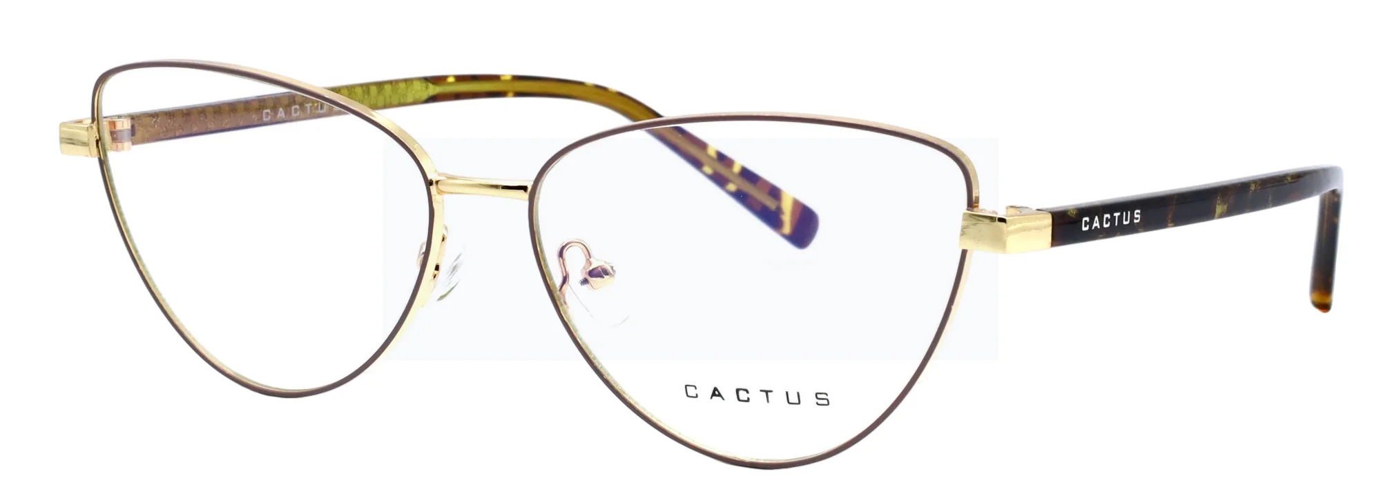 Cactus 3006 - Image 6
