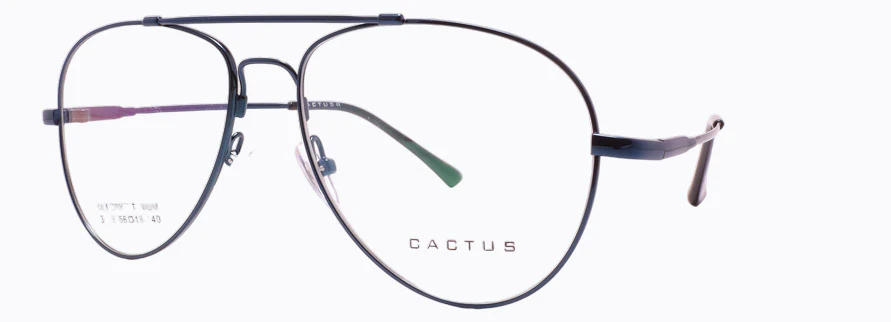 Cactus 3028 - Image 2