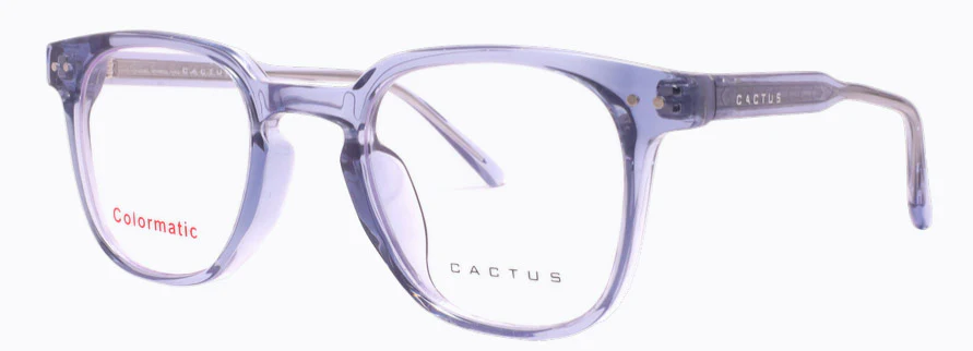 Cactus 52607 - Image 2