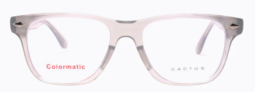 Cactus 52610