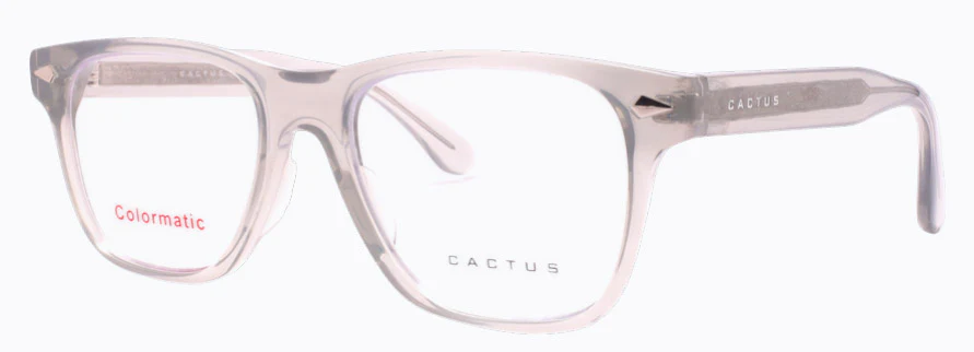 Cactus 52610 - Image 2