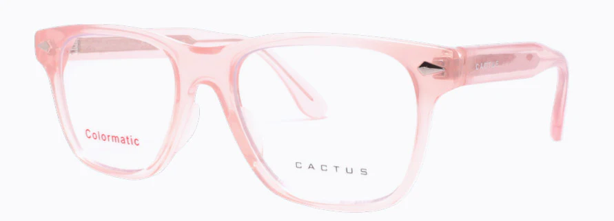 Cactus 52610 - Image 5