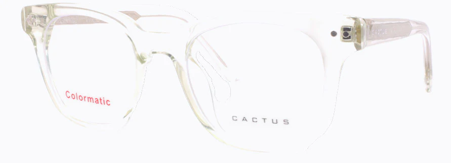 Cactus 52611 - Image 2