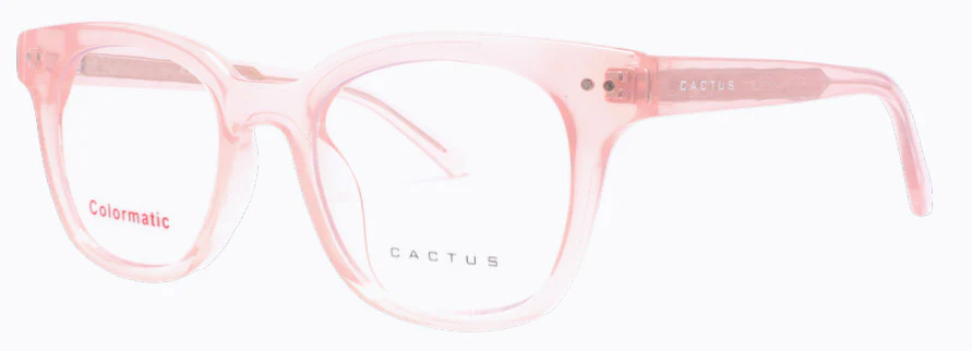 Cactus 52611 - Image 5