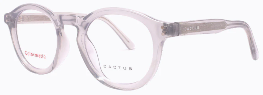 Cactus 52612 - Image 8
