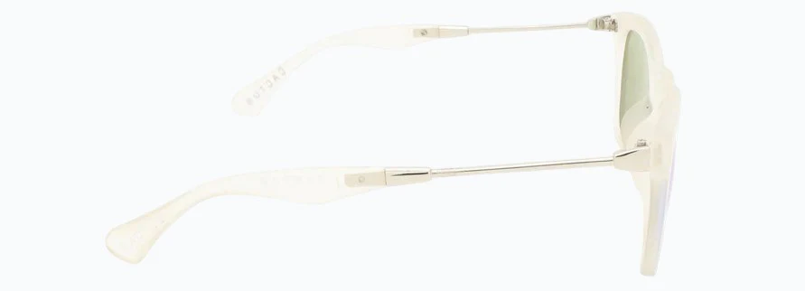 Cactus 5952 - Image 3