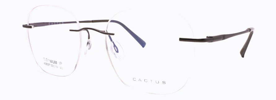 Cactus 63037 - Image 5