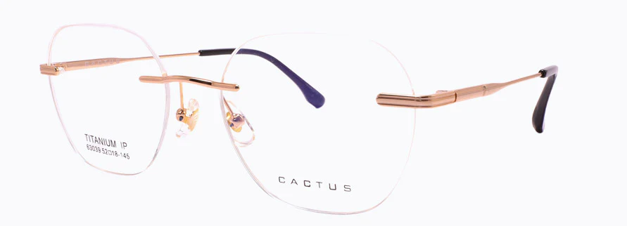 Cactus 63039 - Image 2