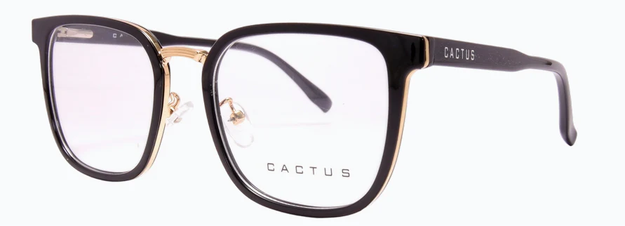Cactus 6413 - Image 3