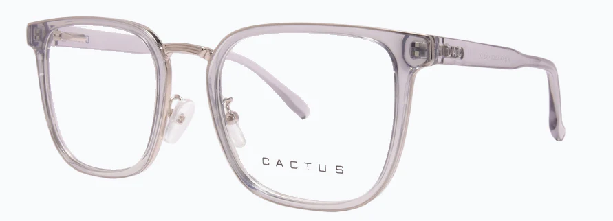 Cactus 6413 - Image 5