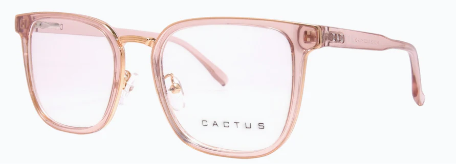 Cactus 6413 - Image 9