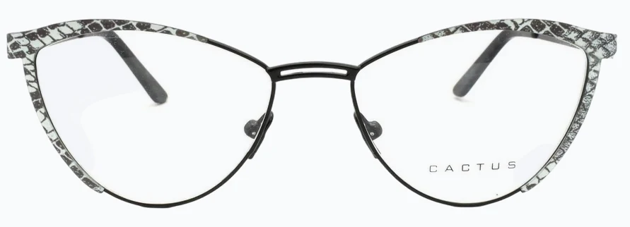 Cactus 8069