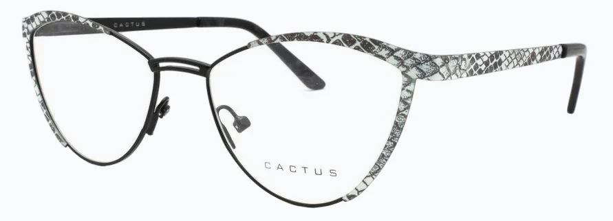 Cactus 8069 - Image 3