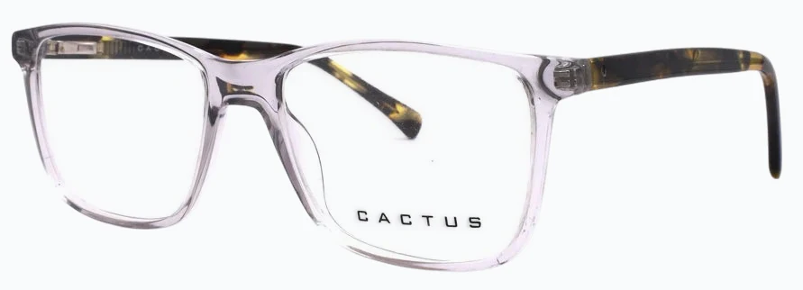 Cactus 883205 - Image 3