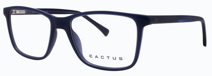 Cactus 883205 - Image 6