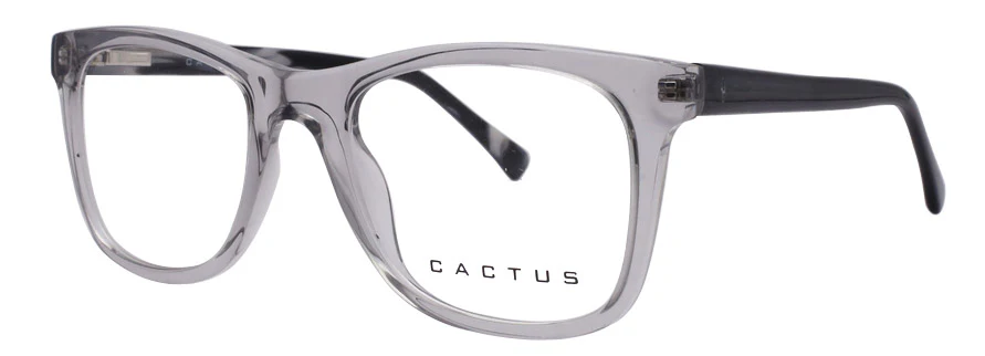 Cactus 883207 - Image 5
