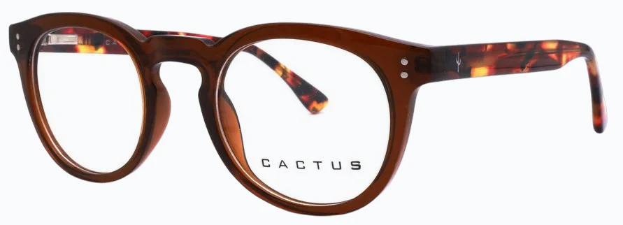 Cactus 883214 - Image 6