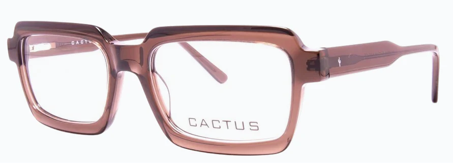 Cactus 884703 - Image 6