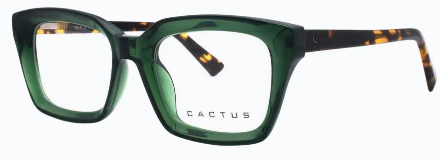 Cactus 884705 - Image 3