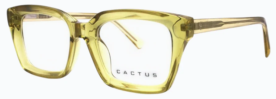 Cactus 884705 - Image 9