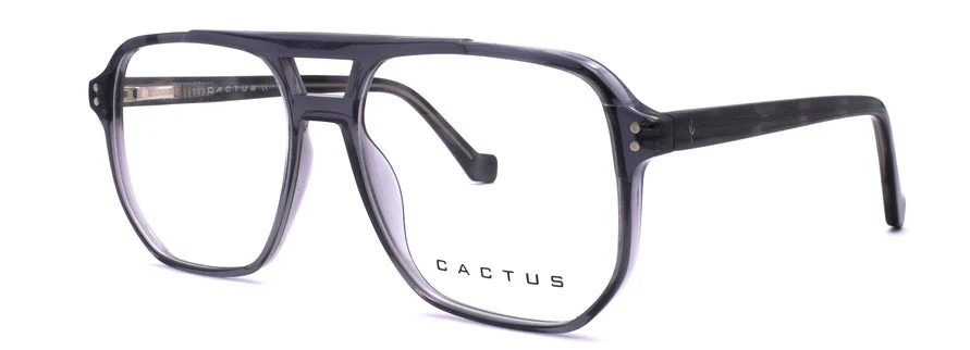 Cactus 884708 - Image 5