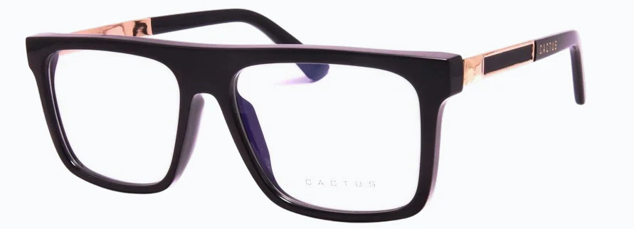 Cactus 93502 - Image 3