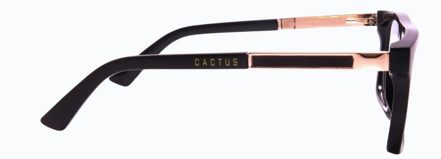 Cactus 93502 - Image 4