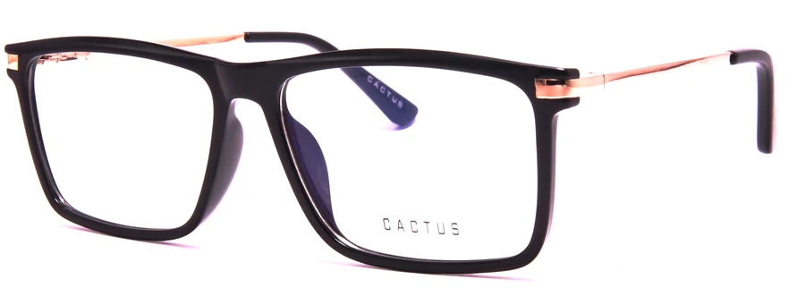 Cactus 95859 - Image 3