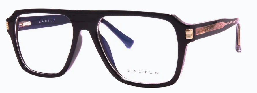 Cactus 97692 - Image 3