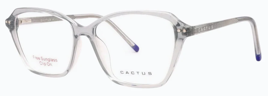 Cactus 98012 - Image 6
