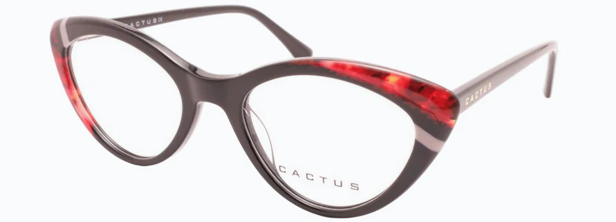 Cactus 9834 - Image 3