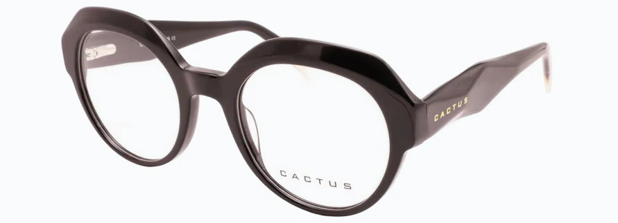 Cactus 9837 - Image 3