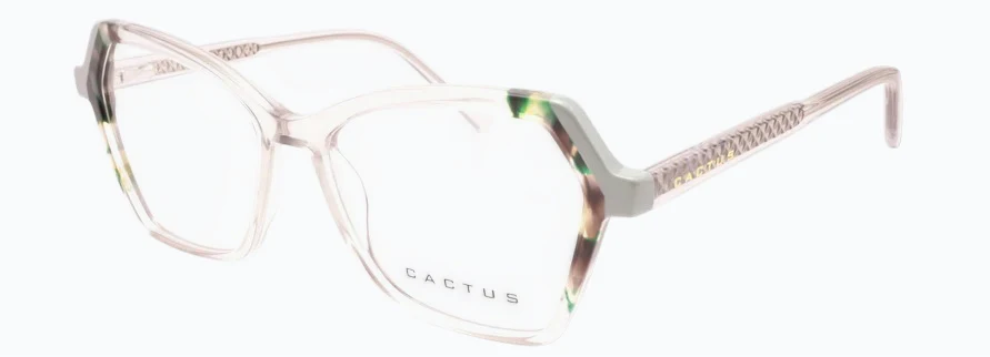 Cactus 9858 - Image 3